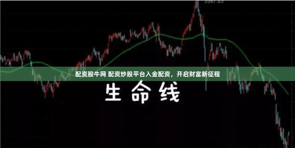 配资股牛网 配资炒股平台入金配资，开启财富新征程