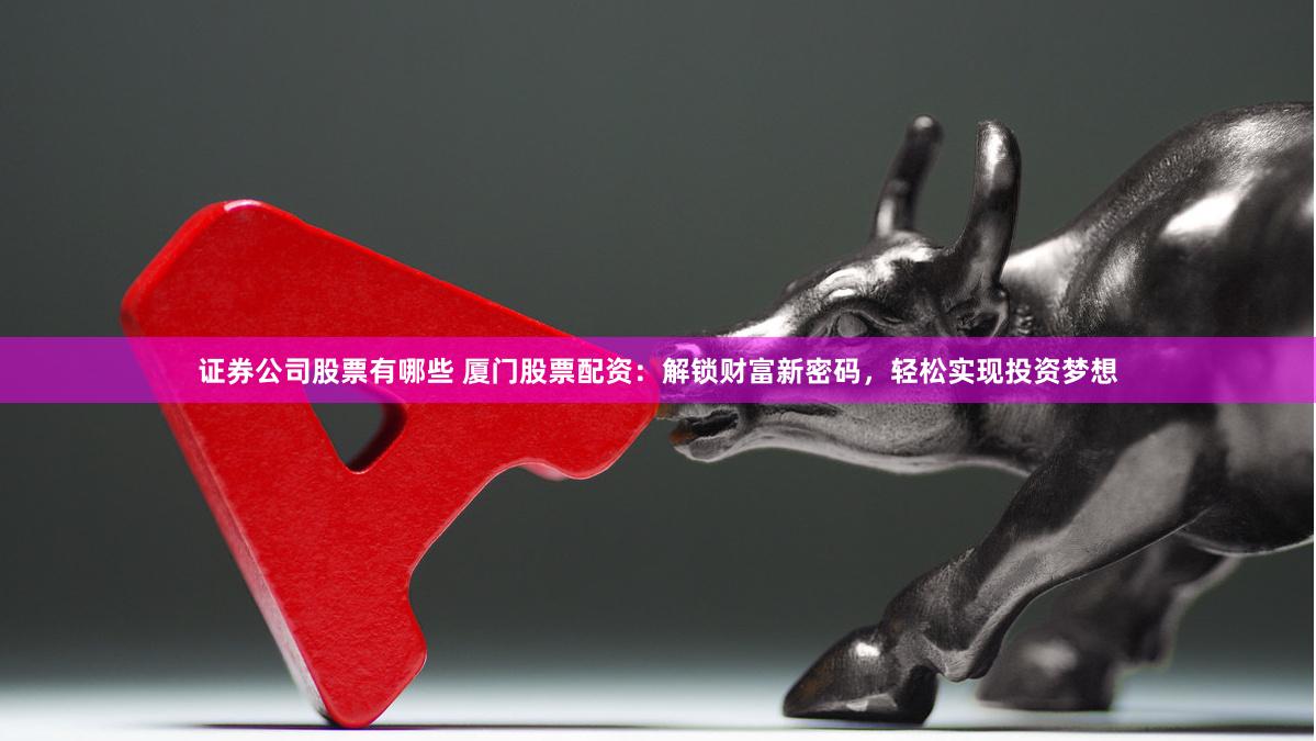 证券公司股票有哪些 厦门股票配资：解锁财富新密码，轻松实现投资梦想