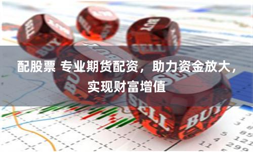 配股票 专业期货配资,助力资金放大,实现财富增值